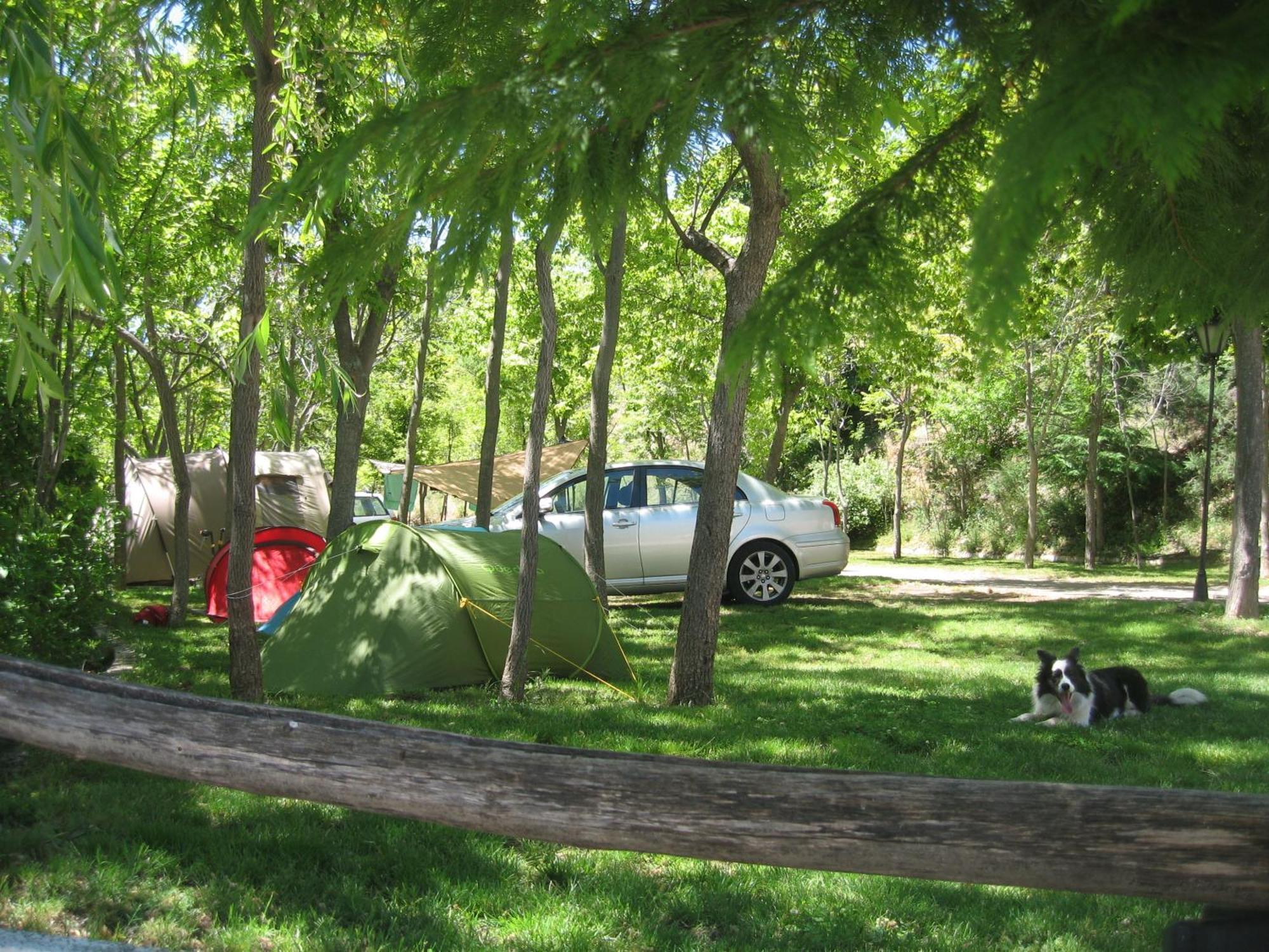 Camping Trevélez المظهر الخارجي الصورة